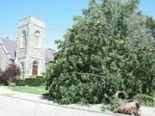 A large tree fell outside St. Sebastian Church in Providence, R.I. / Photo 