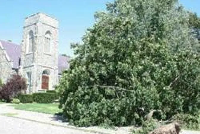 A large tree fell outside St Sevastian Church in Provdence RI Credit Laura Kilgus Rhode Island Catholic CNA US Catholic News 8 31 112