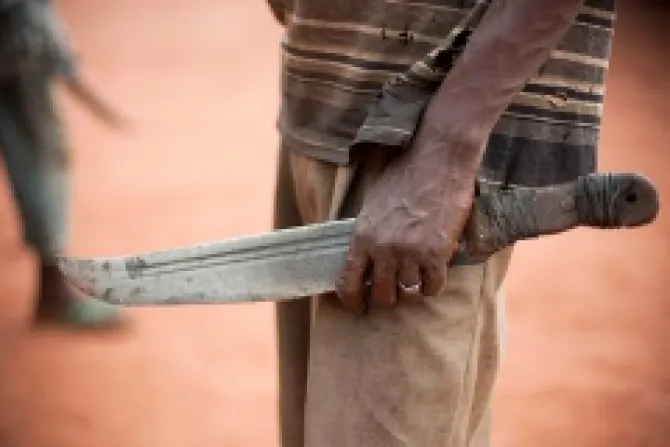 A man holds a machete aka Balaka in Songo on Nov 8 2013 in the outskirts of Bangui Central African Republic Credit MATTHIEU ALEXANDRE for Caritas International CNA 12 9 13