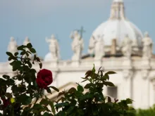 A rose with St. Peter's Basilica in the background.