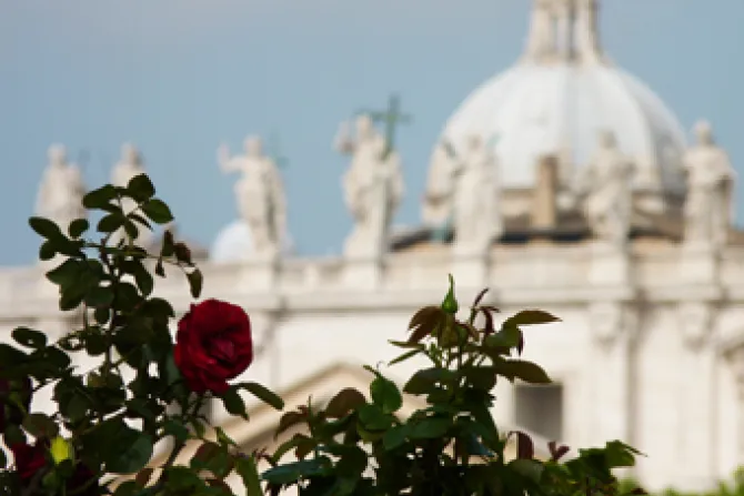 A rose with St Peters Basilica in the background CNA Vatican Catholic News 5 2 12