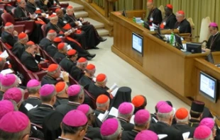 A session of the Synod on the New Evangelization, October 12, 2012.   David Kerr/CNA.
