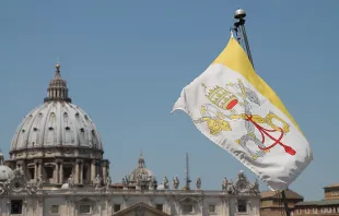 A view of St. Peter's Basilica and Vatican City flag from the roof of a nearby building on June 5, 2015.   Bohumil Petrik / CNA.