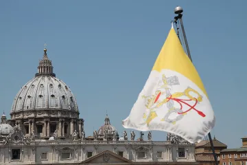 A view of St Peters Basilica and Vatican City flag from the roof of a nearby building on June 5 2015 Credit Bohumil Petrik CNA 6 5 15