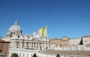 A view of St. Peter's Basilica from the Augustianum in Rome, Feb. 11, 2015.   Bohumil Petrik / CNA.