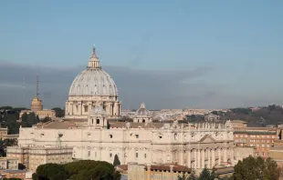 A view of St. Peter's Basilica in Vatican City, Jan. 25, 2015.   Bohumil Petrik/CNA.