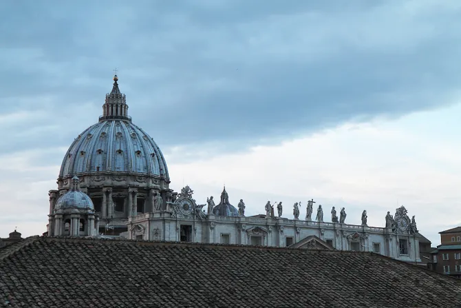 A view of St Peters Basilica in Vatican City Jan 25 2015 Credit Bohumil Petrik CNA CNA 1 26 15
