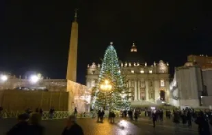 A view of the Christmas tree in St. Peter's Square, Dec. 13, 2012.   Marta Jiménez Ibáñez/CNA.