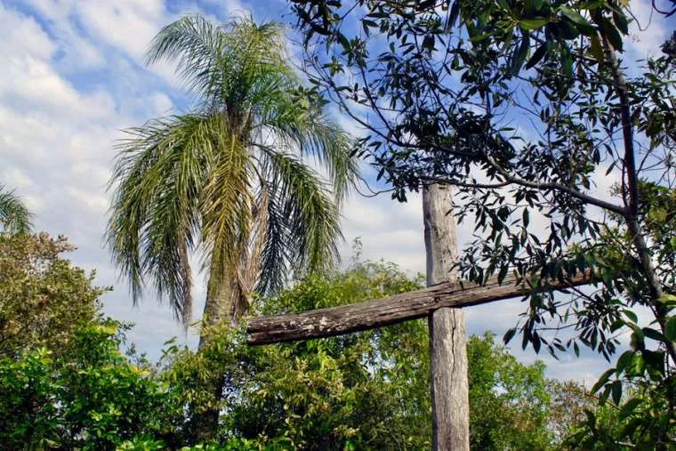 A wooden cross in the rainforest. Stock photo via Shutterstock.?w=200&h=150