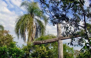 A wooden cross in the rainforest. Stock photo via Shutterstock.