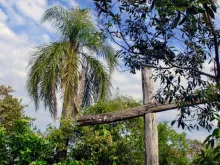 A wooden cross in the rainforest. Stock photo via Shutterstock.