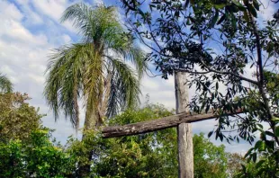 A wooden cross in the rainforest. Stock photo via Shutterstock. 