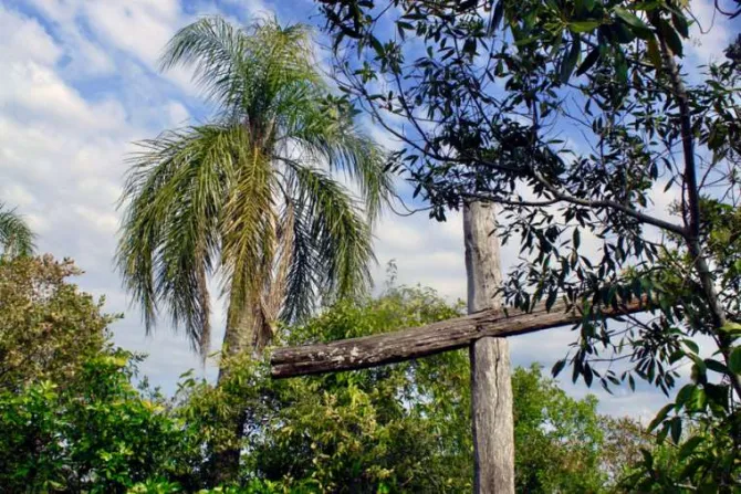A wooden cross in the rainforest Stock photo via Shutterstock CNA Size