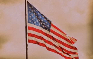 Kim Hill via Flickr (CC BY-ND 2.0) filter added.