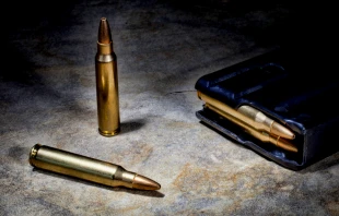 null Credit: Guy J. Sagi/Shutterstock