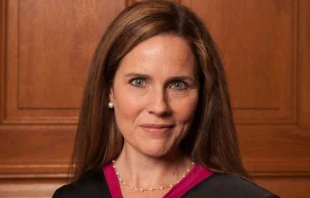 U.S. Supreme Court Justice Amy Coney Barrett. Credit: Rachel Malehorn/wikimedia CC BY SA 3.0
