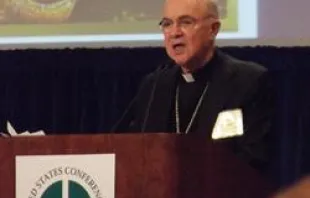 Archbishop Carlo Maria Viganò speaks Nov. 14, 2011 to the U.S. Bishops fall meeting 