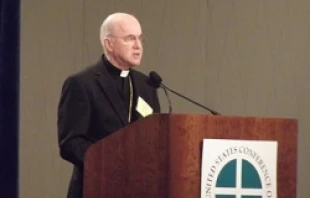 Archbishop Carlo Maria Viganò speaks to the U.S. bishops in Atlanta on June 13, 2012.