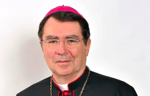 Archbishop Christophe Pierre, apostolic nuncio to the United States. 