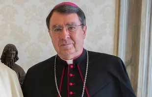 Archbishop Christophe Pierre, apostolic nuncio to the US.   L'Osservatore Romano.