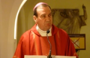 Archbishop Dennis M. Schnurr of Cincinnati delivers a homily at the tomb of St. Peter in Feb. 2012. CNA File Photo.