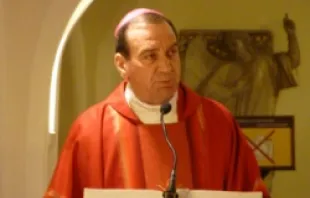 Archbishop Dennis M. Schnurr of Cincinnati delivers a homily at the tomb of St. Peter in Feb. 2012. CNA File Photo. 