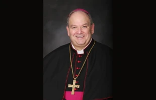 Archbishop Bernard Hebda of St. Paul-Minneapolis. Credit: Archdiocese of St. Paul-Minneapolis