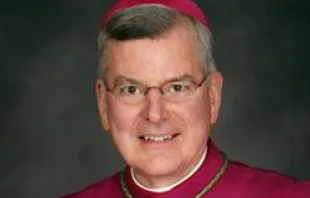 Archbishop John C. Nienstedt of the St. Paul and Minneapolis archdiocese 