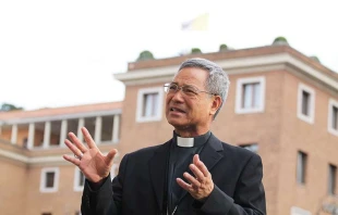 Archbishop John Hung Shan-chuan of Taipei.   Bohumil Petrik/CNA