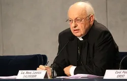 Cardinal Lorenzo Baldisseri, secretary general of the Synod of Bishops, at a meeting held November 2013. ?w=200&h=150