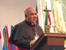 Cardinal Tempesta of Rio de Janeiro, speaking Nov. 16, 2013. 