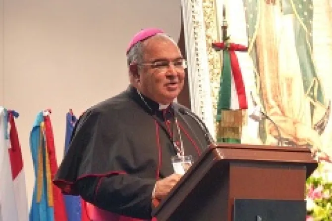 Archbishop Orani Joao Tempesta of Rio de Janeiro speaks at the Basilica of Our Lady of Guadalupe in Mexico City on Nov 16 2013 Credit Michelle Bauman CNA CNA 11 18 13