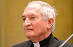 Archbishop Silvano M. Tomasi, Permanent Observer of Holy See to the United Nations in Geneva, in Rome July 1, 2014. ?w=200&h=150