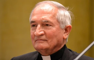 Archbishop Silvano Maria Tomasi.   Daniel Ibanez/CNA.
