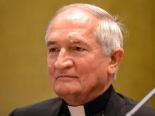 Archbishop Silvano Maria Tomasi. 