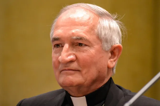 Archbishop Silvano Tomasi in 2014 Credit Daniel Ibanez CNA