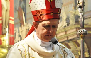 Archbishop Tomash Peta.    Wikimedia Commons CC 3.0