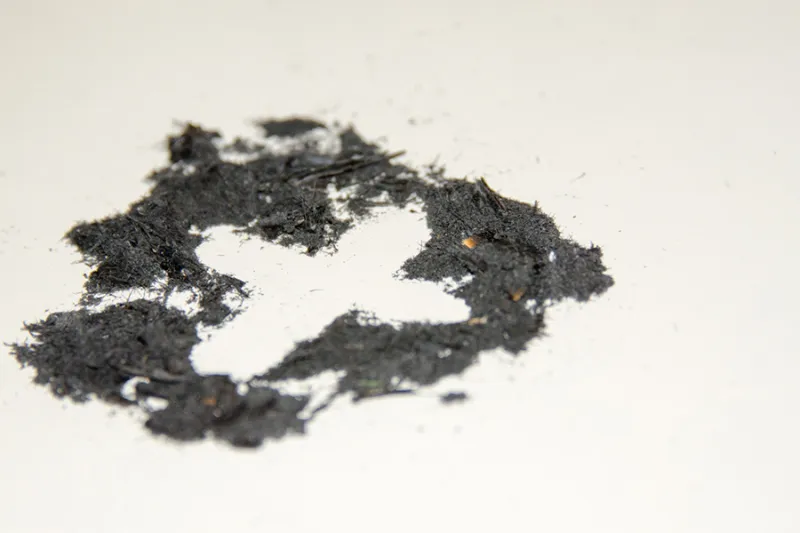 Where do Ash Wednesday ashes come from?