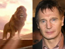 The figure Aslan and actor Liam Neeson