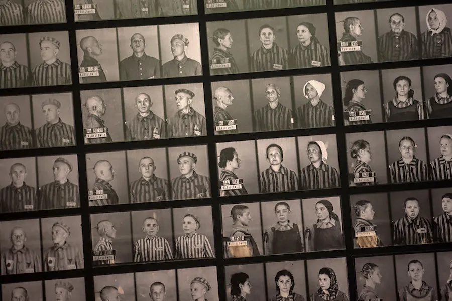 Victims of genocide at the Auschwitz-Birkenau concentration camp. ?w=200&h=150