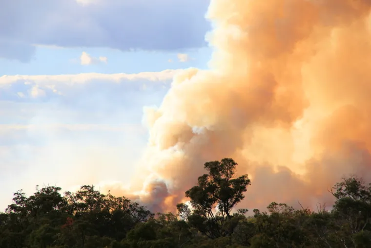 Australian bushfire. Credit: Federherz / Shutterstock. 