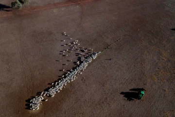 Australian drought Credit Glenn Nicholls AFP Getty 