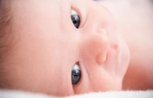 Baby by Amy Quinn (CC0 1.0).