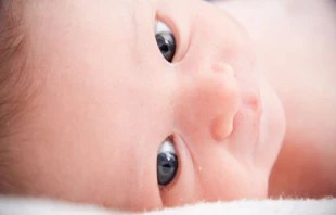 Baby by Amy Quinn (CC0 1.0).