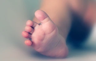 578foot/Shutterstock.