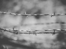 Barbed wire. 
