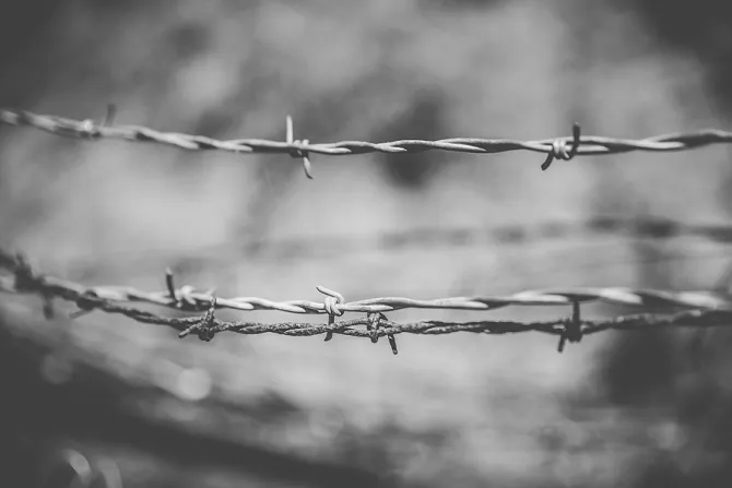 Barbed wire Credit Dennis Diatel via wwwshutterstockcom CNA