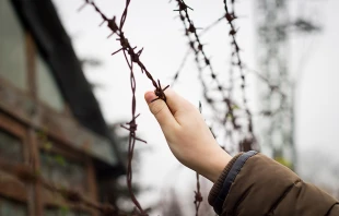 Simon Kadula via www.shutterstock.com.