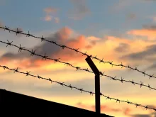Barbed wire fence.