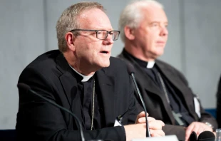 Bishop Robert Barron speaks at a briefing in the Holy See Press Office on Oct. 12.   Daniel Ibáñez.
